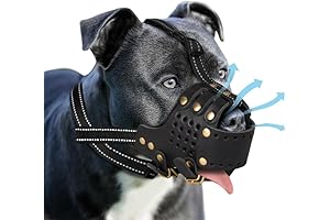 Exceptional Dog Muzzle for Pit Bulls: Maximum Security and Comfort