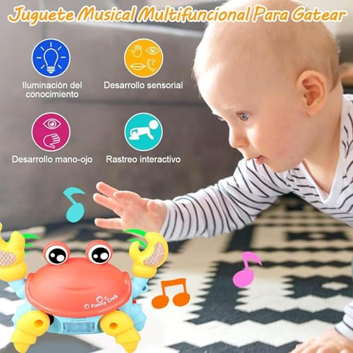 Preescolar, Toy Imagen adicional