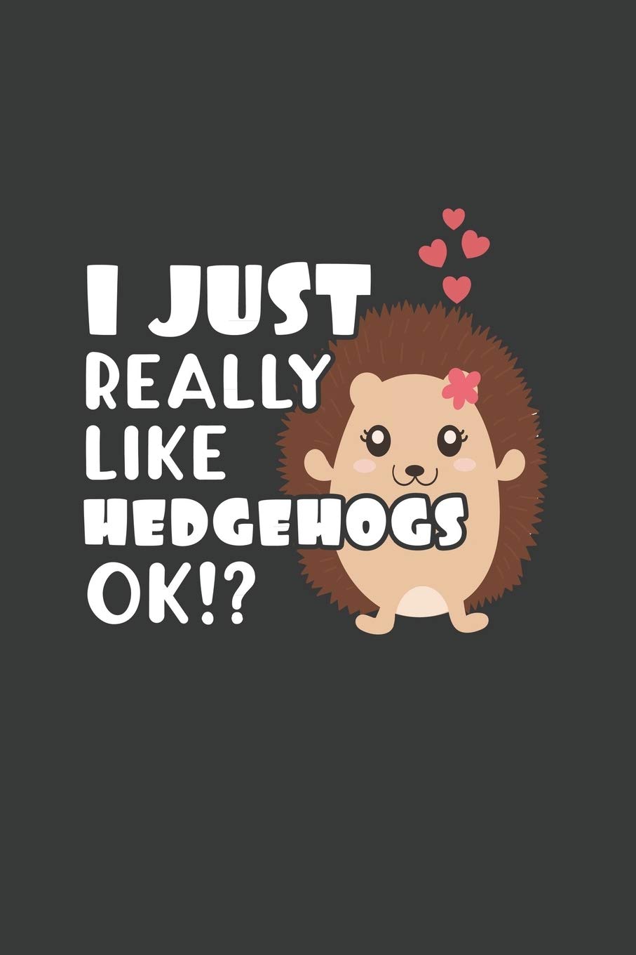 I Just Really Like Hedgehogs OK?: 6x9 Inch Journal Diary Notebook 110 Blank Lined Pages Cute Hedgehog Gift