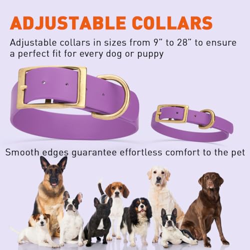 Image of Viper Biothane Heavy Duty Waterproof Dog Collar Strong Coated Nylon Webbing w /Solid Brass Hardware Odor-Proof for Easy Care to Clean High Performance Fits Small Medium or Large Dogs, Amethyst Purple