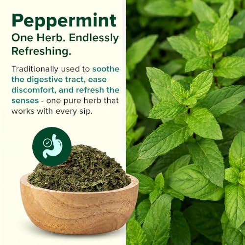 Image of VAHDAM Pure Peppermint | Supports Gut Comfort & Digestive Ease | 100% Peppermint Leaves | Refreshing Herbal Infusion | Caffeine Free | Non-Bitter | 25 Tea Bags
