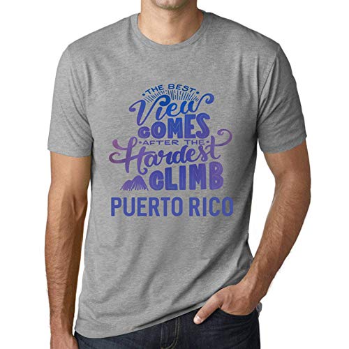 One in the City Hombre Camiseta Vintage T-Shirt Gráfico Best Views Mountains Puerto Rico Gris Moteado