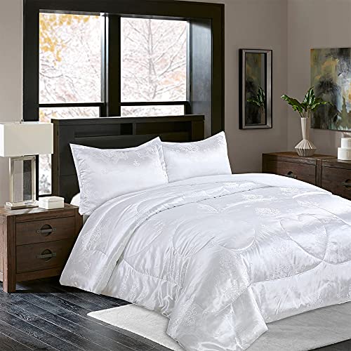 Raytrue-X Queen Comforter Set All Season Bed Comforter Queen Set 3 Piece Satin Silk Blanket Luxury White Jacquard Quilt Soft Bedding Sets Matching 2 Pillow Shams (Full/Queen, 88X88 Inches) #TOP7