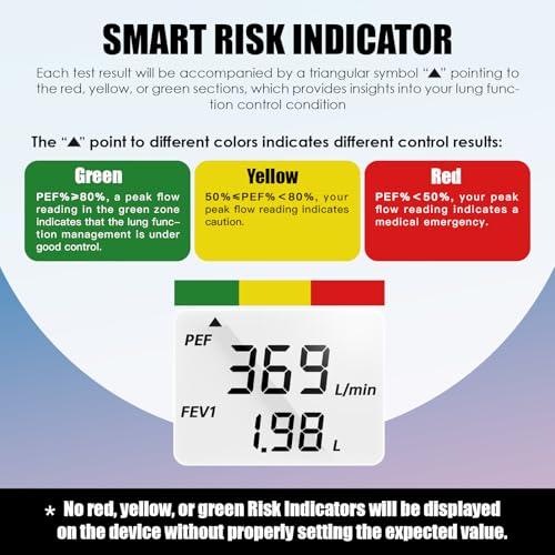 image for Sonmol Digital Peak Flow Meter Spirometer Asthma COPD for Adult Kids P
