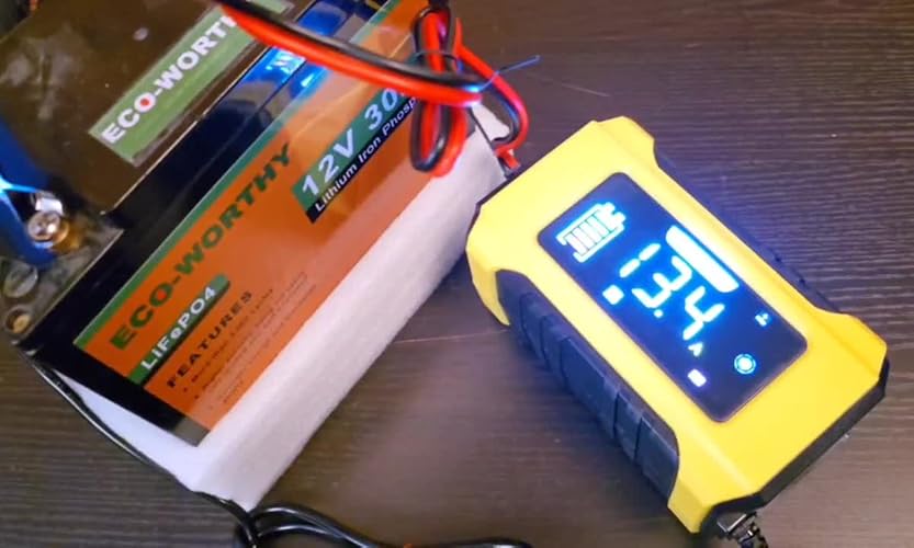LiFePO4 Autoacculader, 45 A, 6 V/12 V/24 V, oplader voor auto, vrachtwagen, motorfiets, grasmaaier, boot, marine, acculader voor LifePO4, lithium, loodzuur (AGM, gel, EFB enz