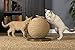 Prevue Pet Products Kitty Power Paws Sphere with Tassel Toy, Natural, 13 (7130)
