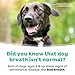 TropiClean Fresh Breath Water Additive for Dogs | Dog Breath Freshener & Teeth Cleaning Solution | No Toothpaste or Toothbrush Required | 16 oz + Pump