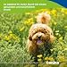 Canina Pharma Hanf Sticks, 200 g