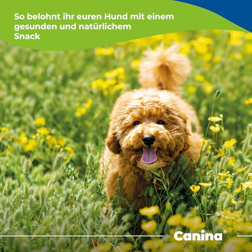 Canina Pharma Hanf Sticks, 500 g