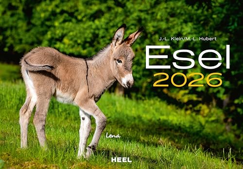 Esel Kalender 2026: Der Tierkalender mit den charmanten Namen Wandkalender