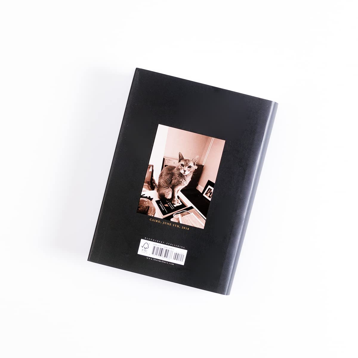 A Book of Days: The New York Times bestseller