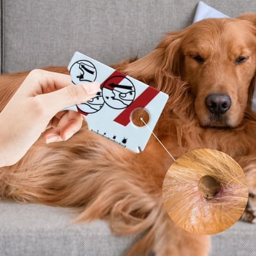 Zeckenkarte Mensch, Zeckenkarte Für Menschen, Zeckenpinzette Für Hunde, Zeckenentferner Für Katzen, Ermöglicht Einfaches Entfernen Von Zecken, Zeckenentferner Für Hunde Und Katzen, 8,5 X 5,4 X 0,1 Cm