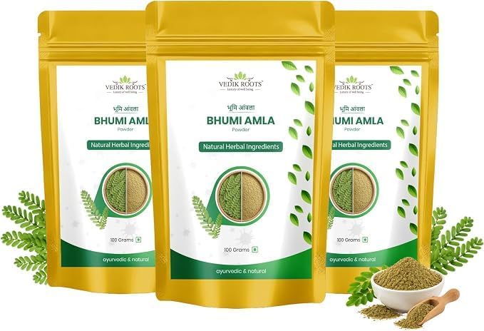 Bhumi Amla Powder 100G | Organic Bhumi Amla Churna for Liver Support, Detox & Digestion | Herbal Supplement | GMP-Certified - (Pack Of 03)