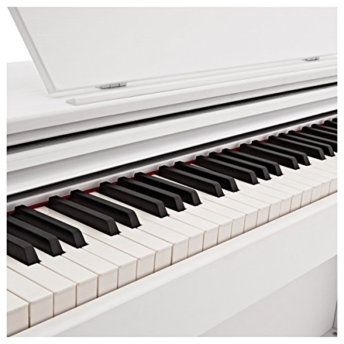 DP-10X Piano Numérique par Gear4music Blanc - Les Beatles, Paul McCartney, John Lennon, RIngo Starr, George Harrison DP-10X Piano Numérique par Gear4music Blanc – Image 7