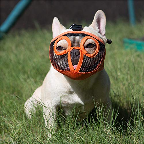 The Best Dog Muzzles of 2021 Pet Life Today