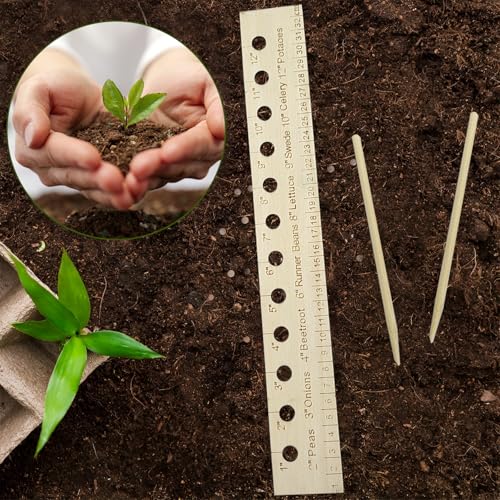 Regla para Plantar y Espaciar Semillas de Madera miniatura 2