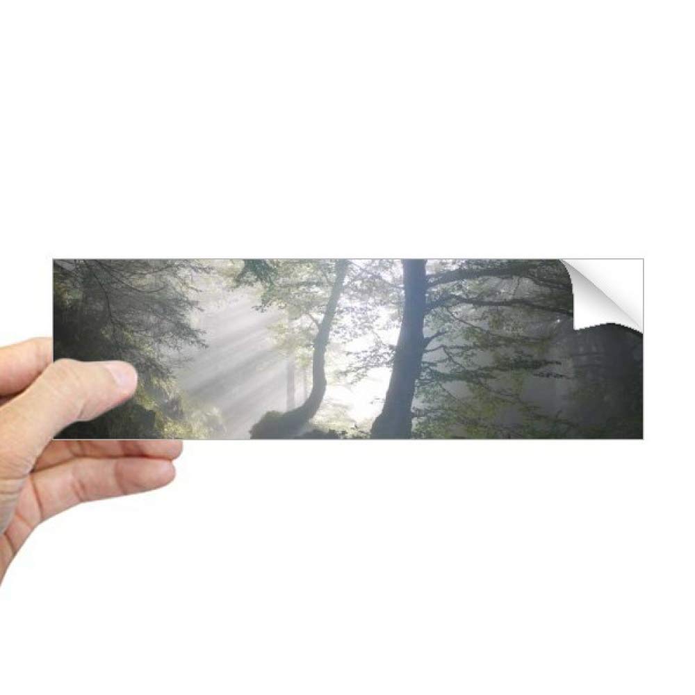 Sticker rectangulaire pour fenêtre paysage de la nature pour masquer le vis-à-vis