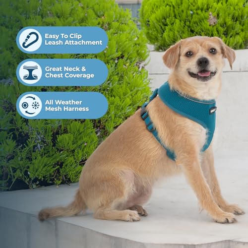 Image of Voyager Aerolite Over The Head Dog Harness, No Pull Breathable Air Mesh Vest, Quick Dry with Reflective Stitching, Adjustable Escape Resistant Harness for Small Medium Large Dogs - Turquoise, X-Large