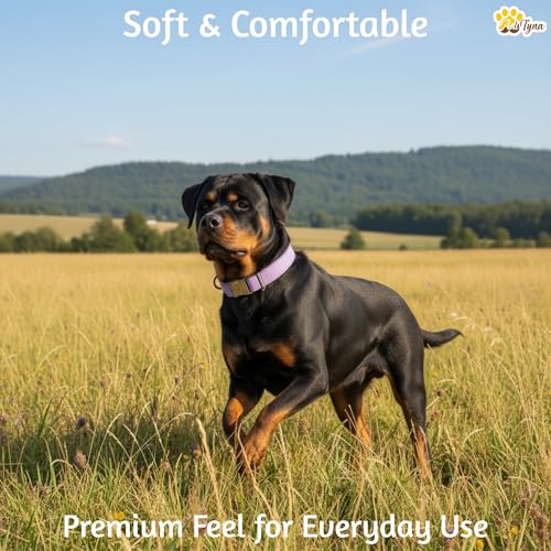 Image of ADITYNA Leather Dog Collar for Large & Extra Large Dogs, Adjustable 19-30 inch | Padded, heavy-duty metal buckle. Great for walking, training - ideal for Rottweiler, German Shepherd, Mastiff and Great Dane.