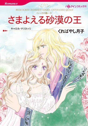 『さまよえる砂漠の王 シークの憂い』