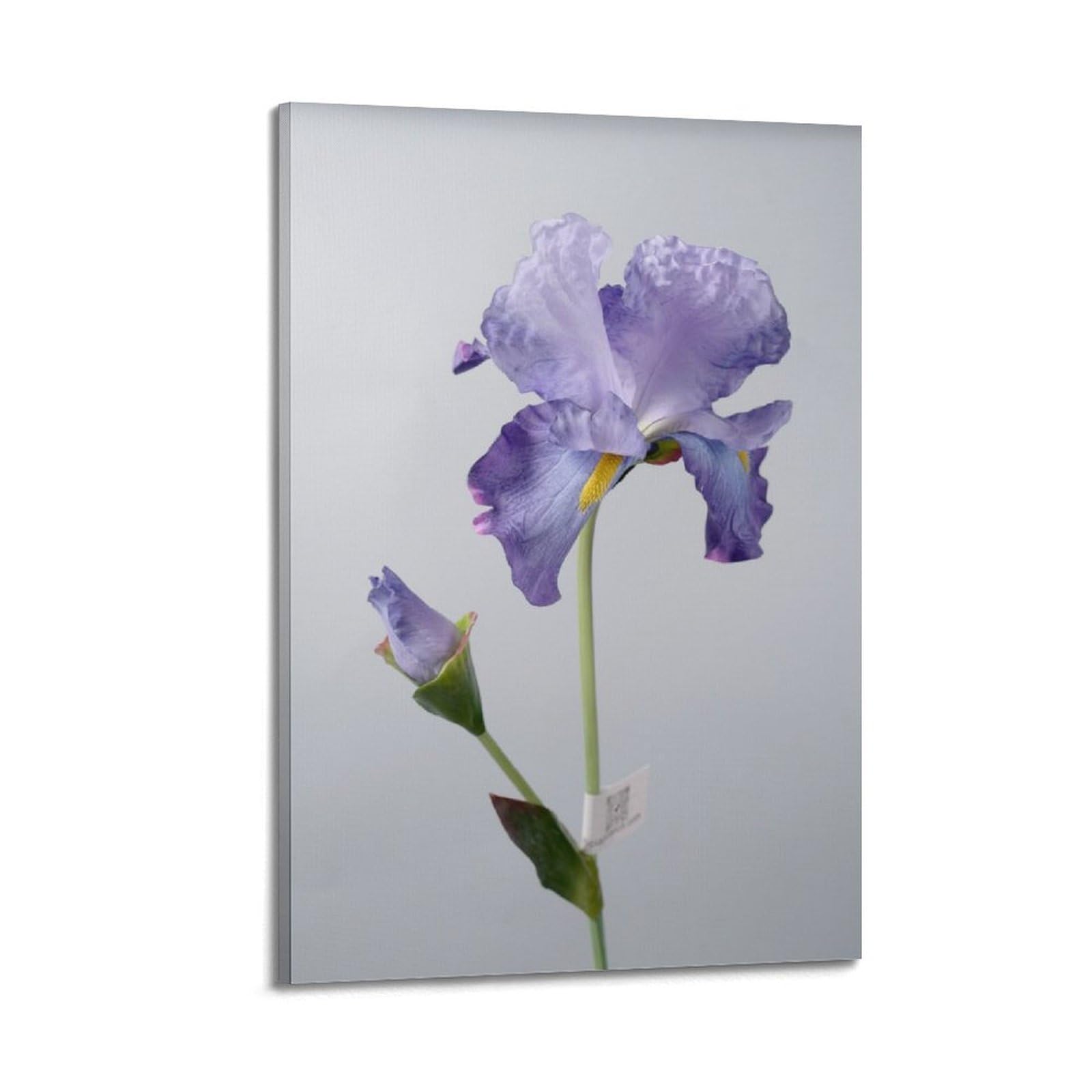 Poster iris violet moderne 50 x 75 cm décoration murale fleur