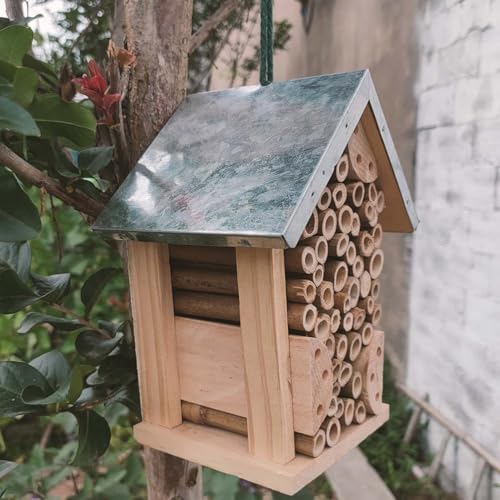 Ruche en bois de qualité supérieure pour extérieur et ferme