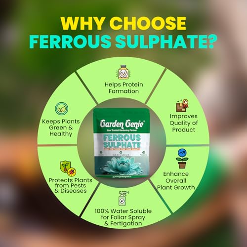 Image of Garden Genie Ferrous Sulphate Fertilizer For Plants Home Garden, 200Gm | Iron-Rich Micronutrient Supplement | Enhances Greener Leaves & Healthy Plant Growth | For Indoor & Outdoor Use,Powder