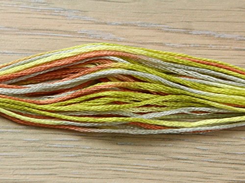DMC Coloris Stranded Cotton Embroidery Thread 4508 Campagne Givree - per Skein