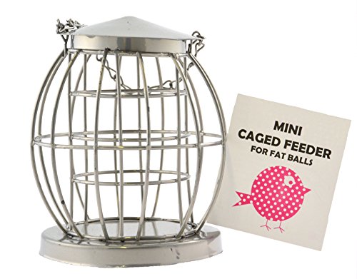 Preisvergleich Produktbild Green Jem Mini-Futterstation für Wildvögel, für Maisenknödel