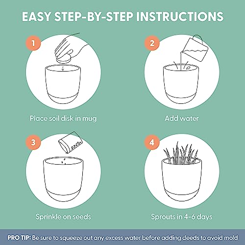 The Cat Ladies Cat Grass for Indoor Cats Kit with Organic Cat Grass Seed Mix, Soil and Ceramic & Cork Planter, Natural Hairball Remedy by The Cat Ladies - Image 5