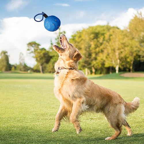 Genérico Toy- Interaktiver automatischer Hunderoller, wasserdichter Haustierbedarf, aktives Rolling Enrichment Tool für Welpen, Medium, groß, Breed Use, Busy Exercise Fetch Indoor Outdoor, m-4