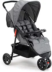 Carrinho De Passeio Para Bebê Delta (Até 15kg) Cinza Voyage