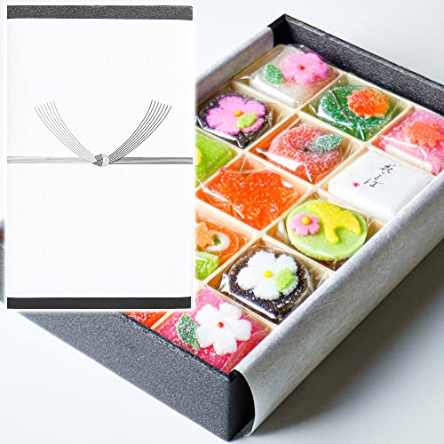 p nl() xv ̉  aَql 15 MtgbZ[WΉ