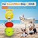 HOLYSTEED Latex Dog Squeaky Toys Rubber Soft Dog Toys Chewing Squeaky Toy Fetch Play Balls Toy for Puppy Small Pets 6pcs for Mini, Small Breeds, 2.28