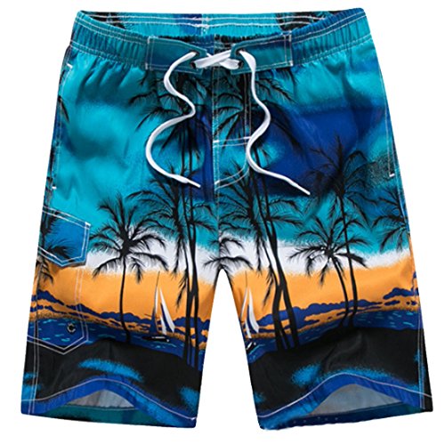 Men's Summer Holiday Beach Shorts Swimming Trunks Surfing Boardshorts
