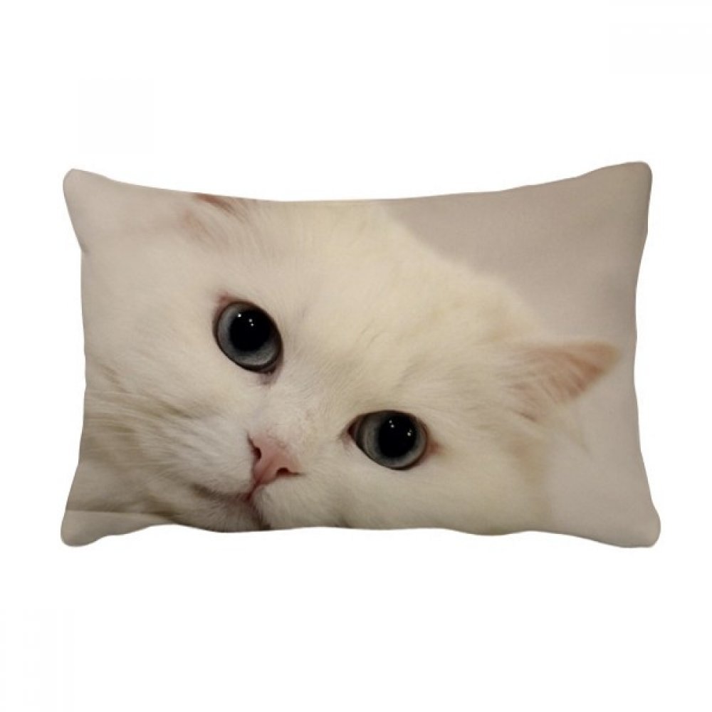 Coussin de chat blanc pour canapé salon taie d'oreiller lombaire déco