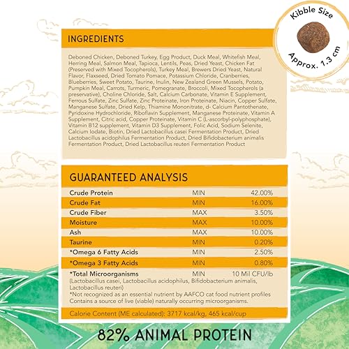 Image of Blackwood Bounty Dry Cat Food, Chicken & Turkey Recipe for All Life Stages, 10 Pound Bag, High Protein, Grain Free