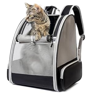 Sac de Transport Chiens et Chats, Sac à Dos en Maille pour Animaux Pliable Spacieux et Respirant avec Structure Métallique, Panier Stable et Confortable pour Voyage en Train (Noir)