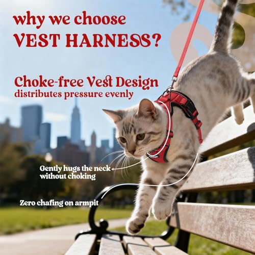 Image of rabbitgoo Cat Harness and Leash Set, Escape Proof Vest, Red | Soft Breathable Mesh, Easy Adjustable Fit, Snap Buckles, Sturdy Clip, Reflective Strips, for Small & Average Cats Walks, Xs