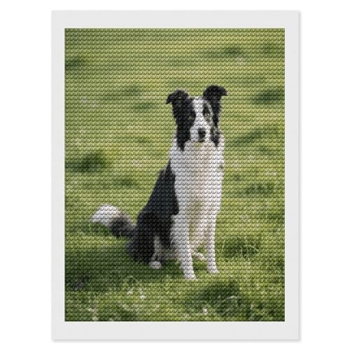 Kits de arte de diamantes para adultos FekiLoot, manualidad completa de Collie para decorar