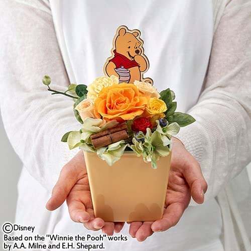 Amazon｜【日比谷花壇】 ディズニー プリザーブド＆アーティフィシャル