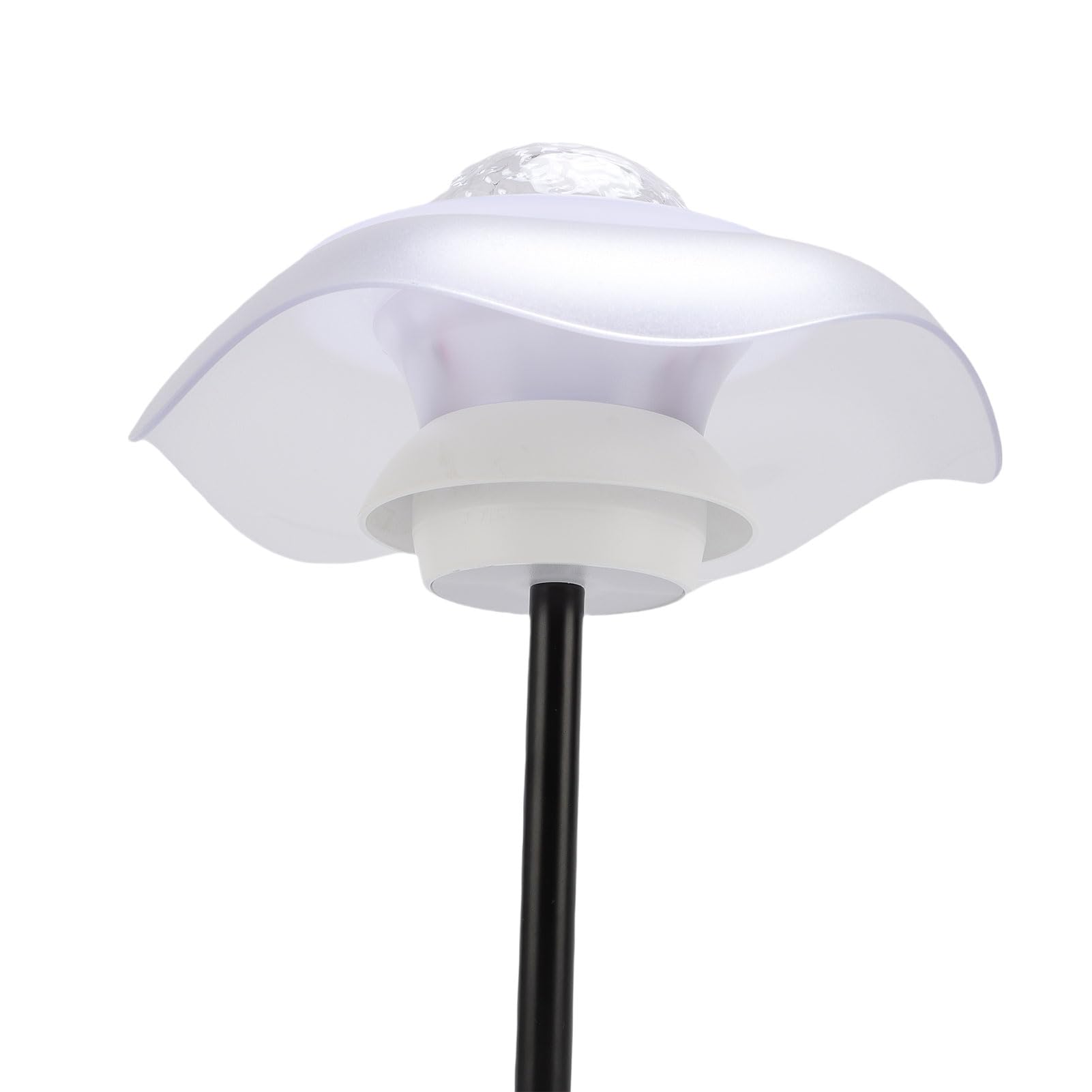 Lampada Notturna a LED RGB con Controllo Touch per Camera da Letto, Ufficio, Soggiorno, Ecologica, Alimentata a Batteria (BLACK)