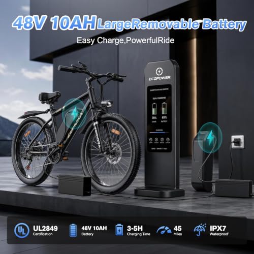 Electric Mountain E-bike for Adults