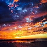 drennan ruten  See the Light (Acoustic Version) [feat. Patti Drennan]