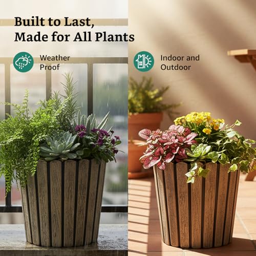 Image of Amazon Brand- Solimo Indoor and Outdoor Round 12 Inch Thai Flower Planter Pot Best for Terrace /Balcony /Home /Office Decor - Set of 2