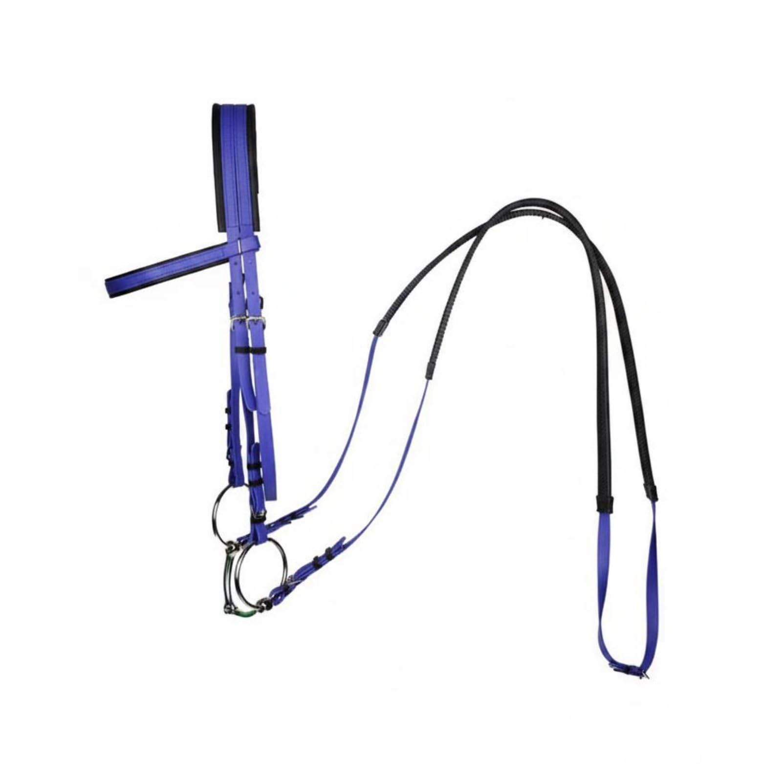 Brida para Caballo con Antideslizantes Cabezada Regulable Material de PVC Grueso Incluido Adecuado para Jinetes Profesionales y Paseos, Azul