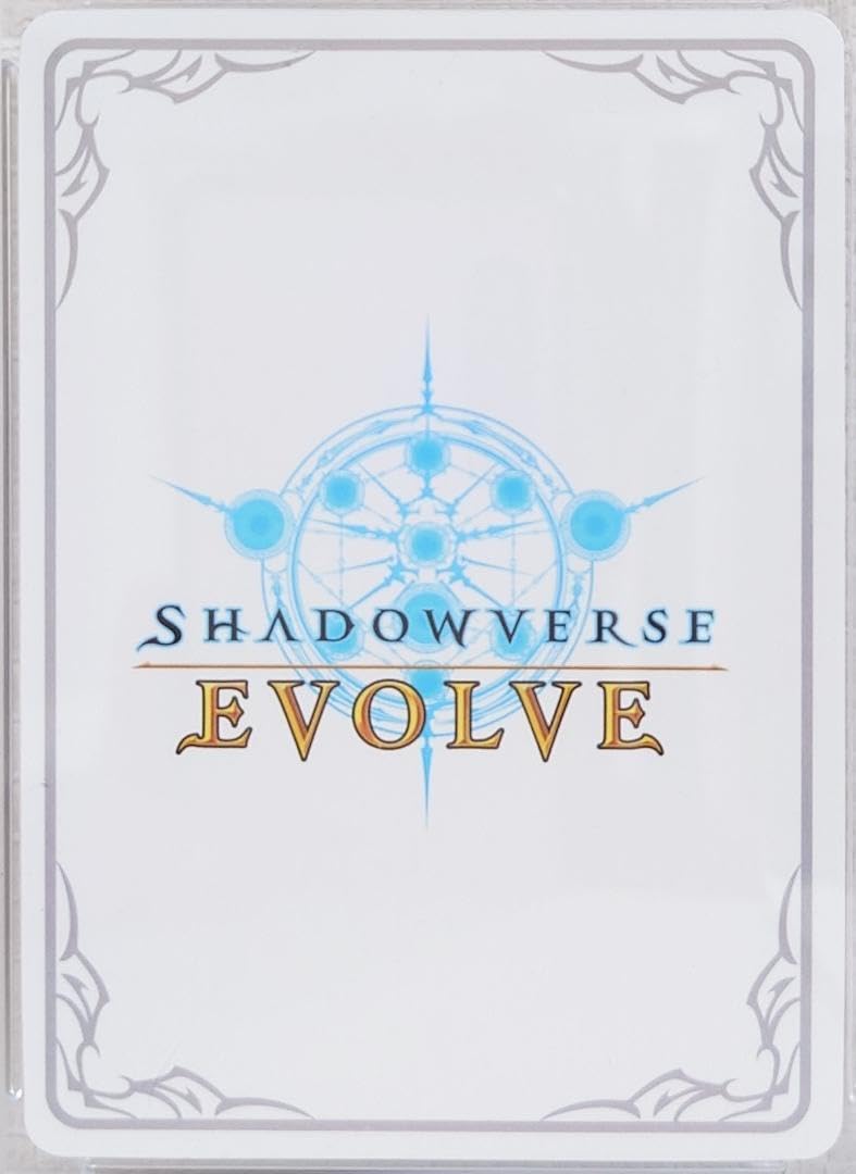 純心の少女ミツェル PSA10 リーダー エボルヴ