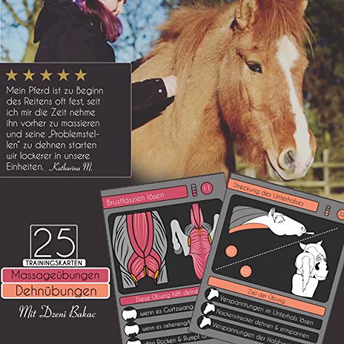 25 Trainingskarten Massage Übungen für Pferd