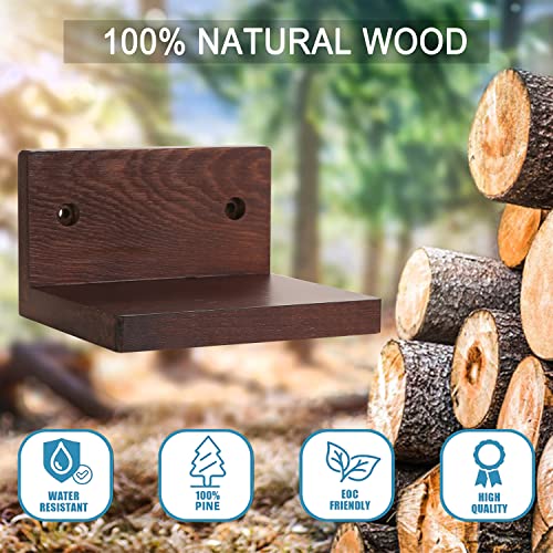 Dgdcdv Small Floating Shelf For Wall Set Of 3, Wood Small Wall Shelf For Home Decor Display, Shelf For Small Decor Or Plants, Rustic Floating Shelves With 2 Types Of Installation (Walnut Color) #TOP3