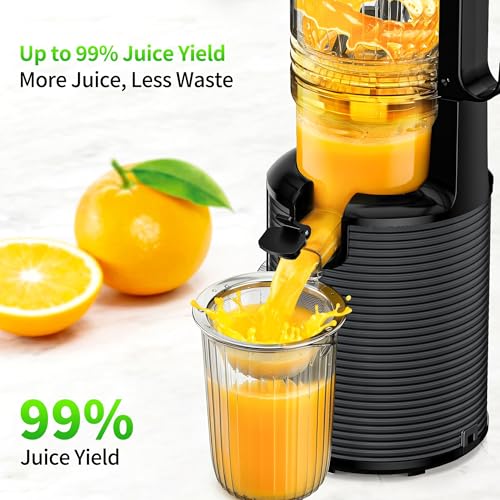 Automatic Cold Press Juicer Machine